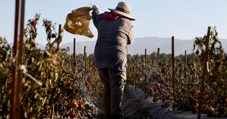 CBS News | Major Updates in Immigration, Housing Trends, Trade Relations, and Sustainable Agriculture