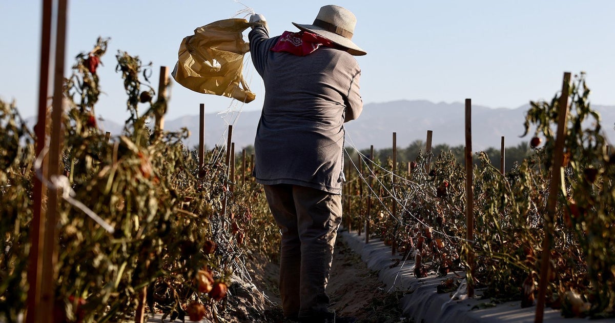 CBS News | Major Updates in Immigration, Housing Trends, Trade Relations, and Sustainable Agriculture CBS News | Major Updates in Immigration, Housing Trends, Trade Relations, and Sustainable Agriculture