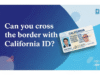 Can You Cross the Border with California ID