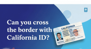 Can You Cross the Border with California ID