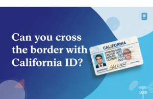 Can You Cross the Border with California ID