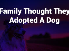 Family Thought They Adopted a Dog – What Really Happened family thought they adopted a dog