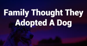 family thought they adopted a dog