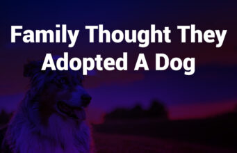 Family Thought They Adopted a Dog – What Really Happened family thought they adopted a dog
