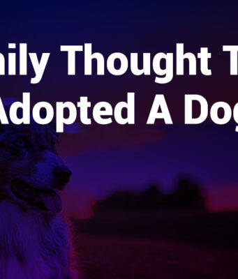family thought they adopted a dog