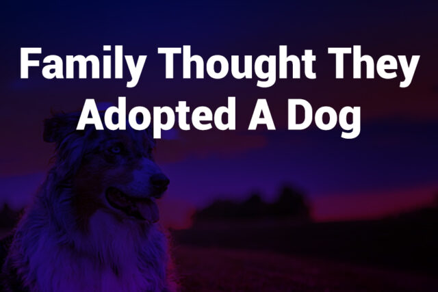 family-thought-they-adopted-a-dog family thought they adopted a dog